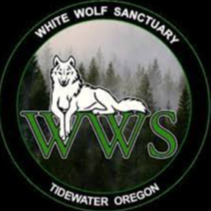 White Wolf Sanctuary Logo