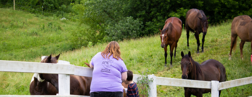 Just A Horse Rescue And Sanctuary, Inc.
