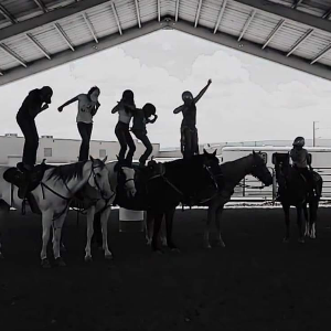 Grand Valley Horse Rescue