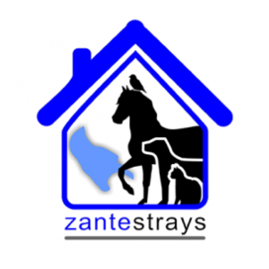 Zante Strays Logo