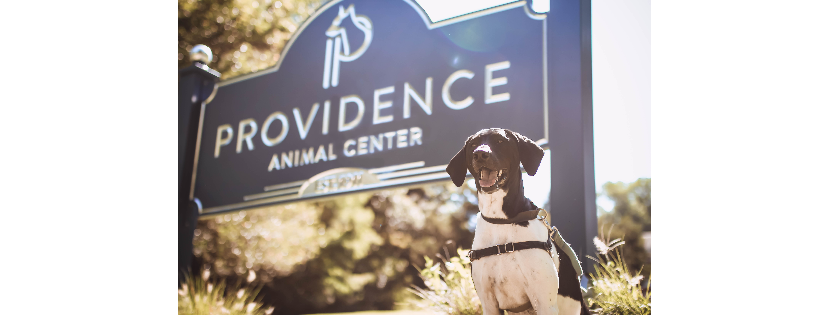 Delco SPCA DBA Providence Animal Center