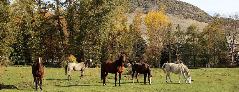 Equamore Foundation