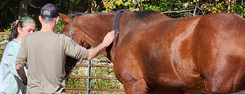 New England Human Animal Bond Foundation