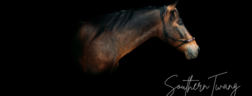 Southern Twang Second Chance Ranch