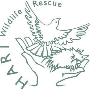 HART Wildlife Rescue Logo