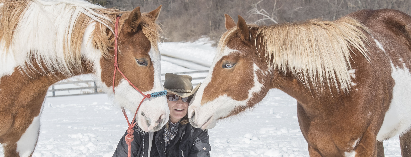 Red Horse Rescue