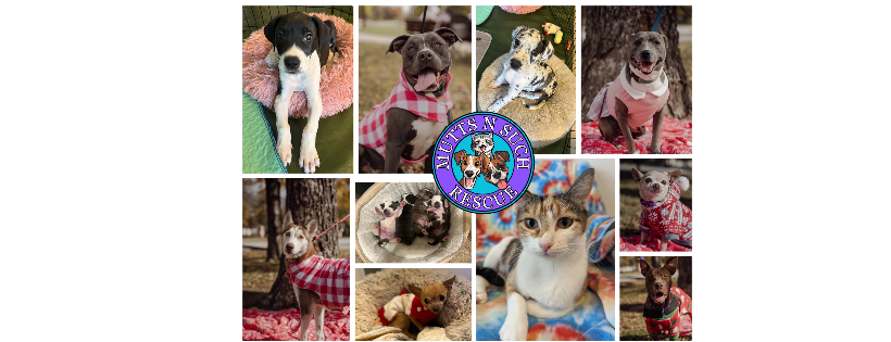 Mutts N Such Rescue