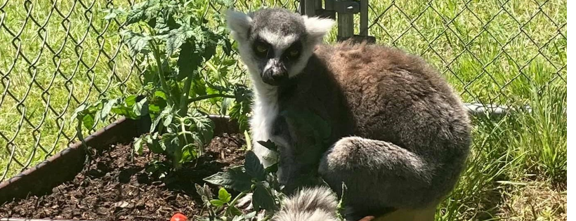 Elmira’s wildlife sanctuary