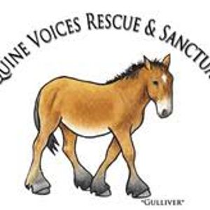 Equine Voices Rescue & Sanctuary Logo