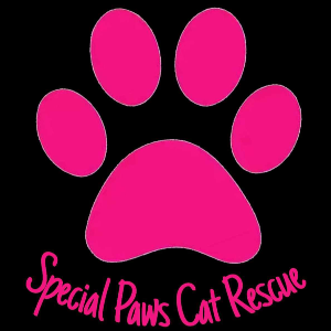 Special paws