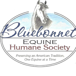 Bluebonnet Equine Humane Society Logo