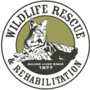 Wildlife Rescue and Rehabilitation Logo