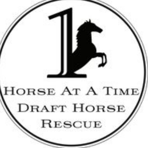 1 Horse At A Time Draft Horse Rescue, Inc.