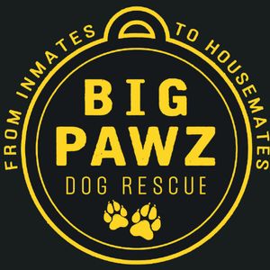 Big Pawz Dog Rescue