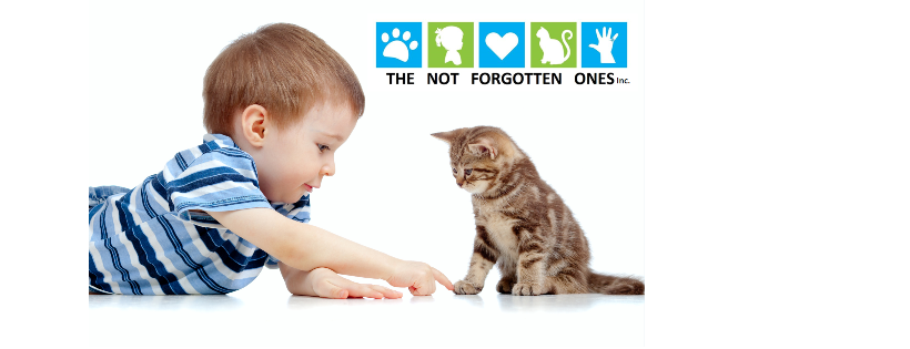 The Not Forgotten Ones Inc