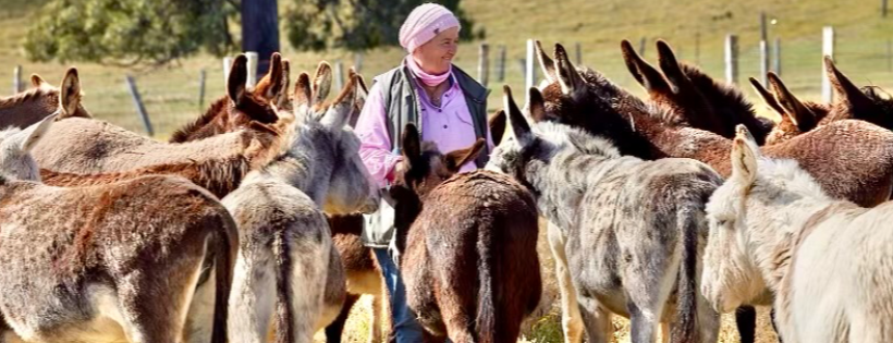 Good Samaritan Donkey Sanctuary Incorporated