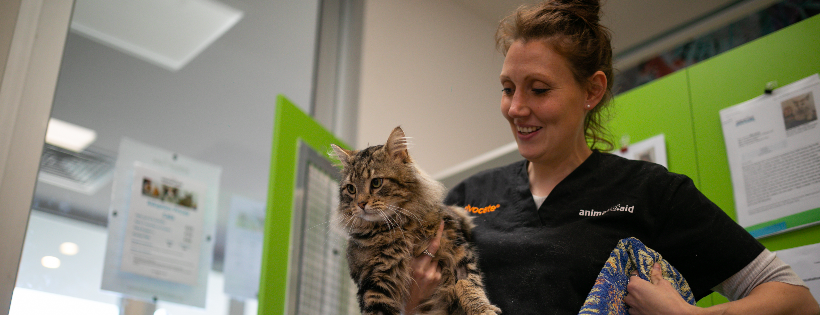Animal Aid Victoria