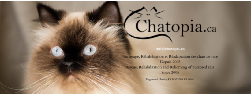 Le Refuge Chatopia