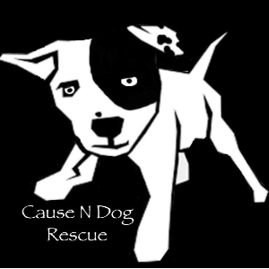Cause N Dog Rescue