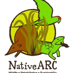 Native ARC