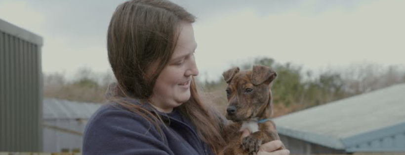 RSPCA Llys Nini