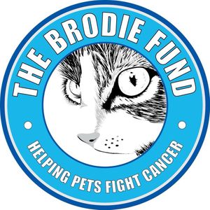 The Brodie Fund Logo