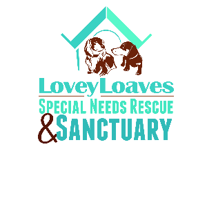 LoveyLoaves Inc