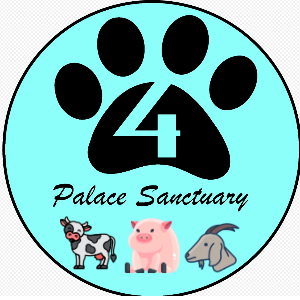 4 paws palace sanctuary Logo