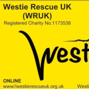 Westie Rescue UK