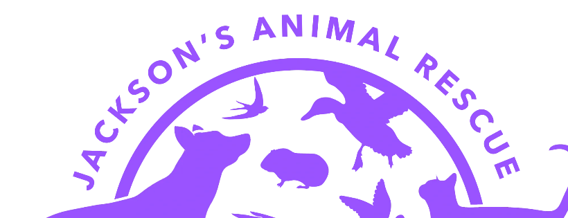 Jackson's Animal Rescue