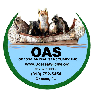 Odessa Animal Sanctuary, Inc