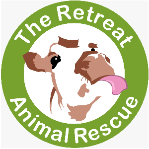 The Retreat Animal Rescue Farm Sanctuary