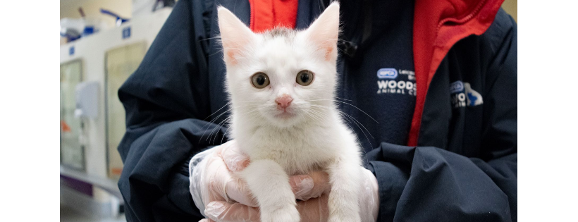 RSPCA - LEICESTERSHIRE, Peterborough and Rutland (WOODSIDE ANIMAL CENTRE)