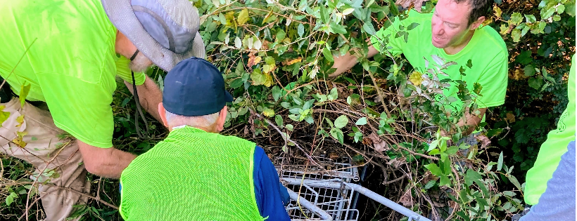 The Great Raleigh Cleanup