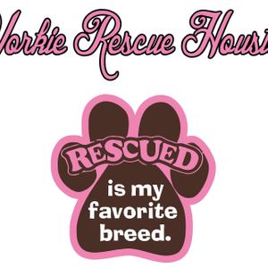 Yorkie Rescue Houston Logo