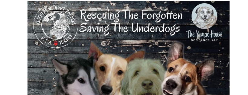 Rescuers Without Borders