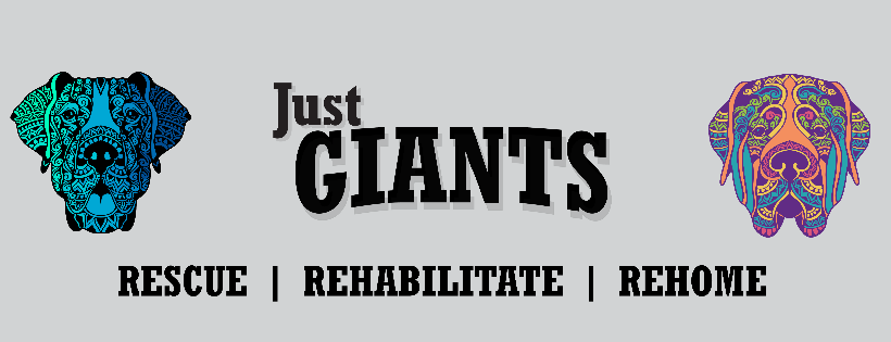 Just Giants Rescue, Inc.