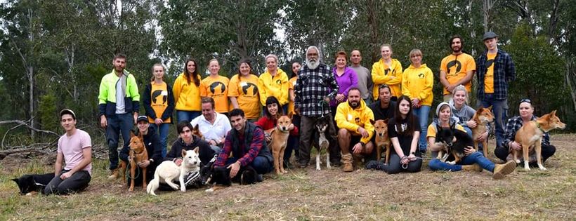 Dingo Den Animal Rescue