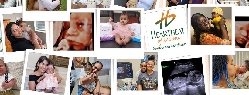 Heartbeat of Miami
