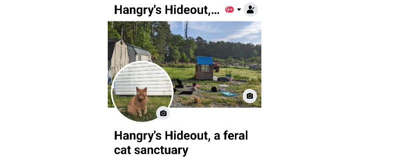 Hangry's Hideout Corp