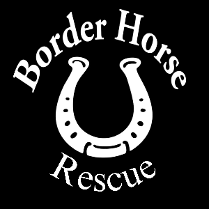 Border Horse Rescue Logo