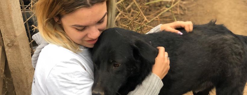Barking Mad Dog Rescue