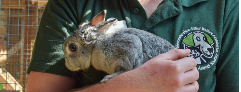 Cheltenham Animal Shelter