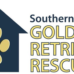 Southern California golden retriever rescue Logo