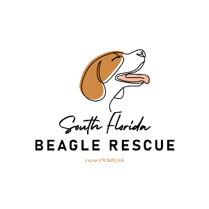 South Florida Beagle Rescue Logo