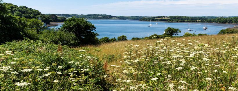 Cornwall Wildlife Trust