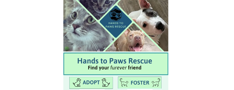 Hands to Paws, In.c