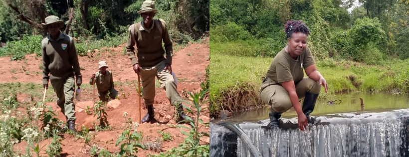 The Kijabe Forest Trust USA Inc.