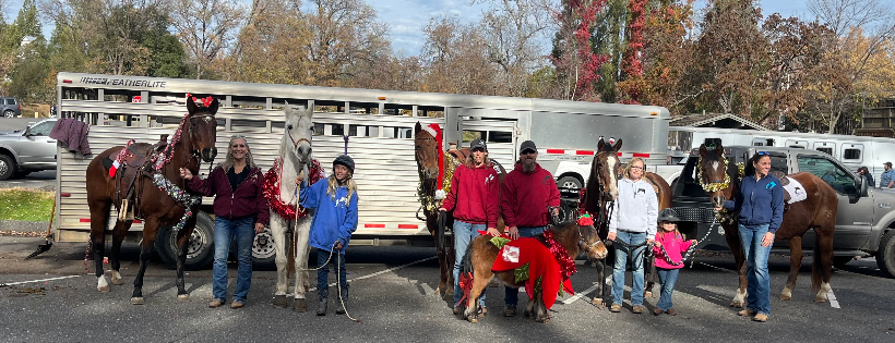 Hope's Chance Horse Sanctuary