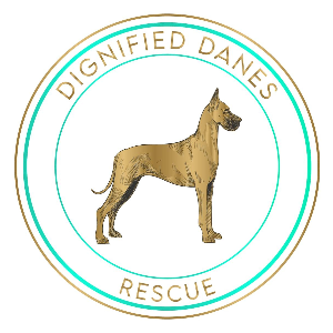 Dignified Danes Rescue Logo